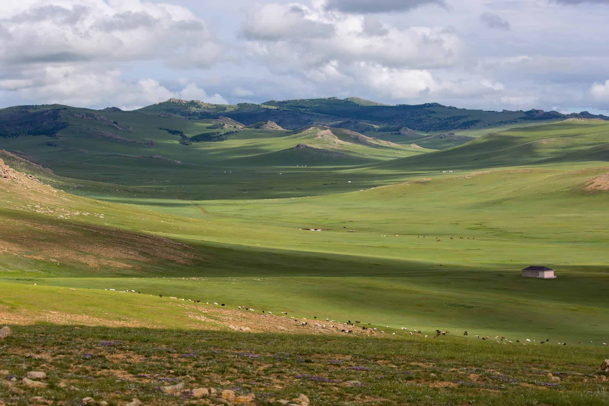 Mongolian Steppe Mongolian Autumn In The Steppe 3 Taste Travel