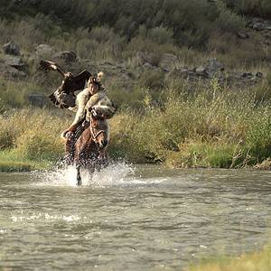 Eagle Hunter in Altai